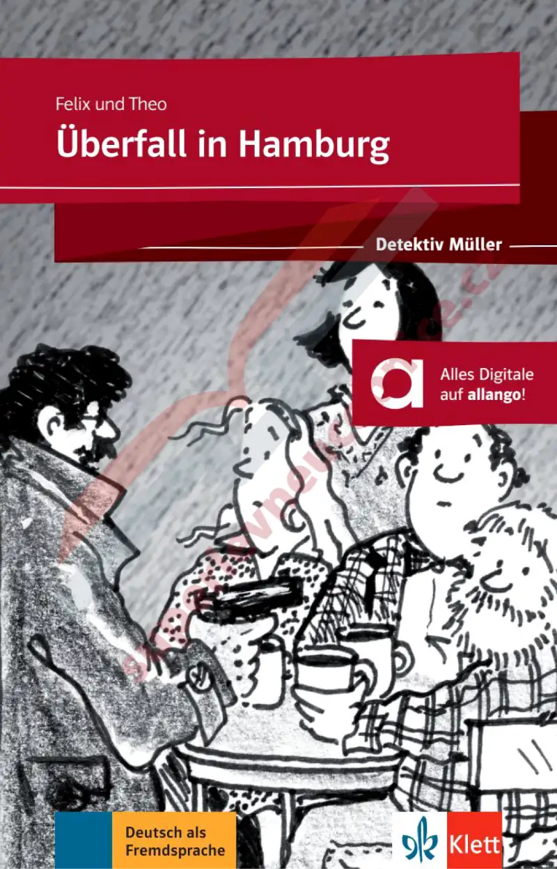 Detektiv Müller: Überfall in Hamburg (Felix und Theo)